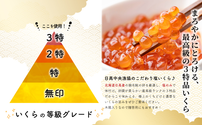 銀聖いくら醤油漬(500g)と塩いくら(500g)セット[02-046]|日高中央漁業協同組合