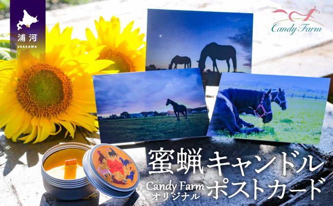 北海道浦河町のふるさと納税 天然蜜蝋100%手作り「キャンドル」&馬たちの「ポストカード」セット[39-1122]