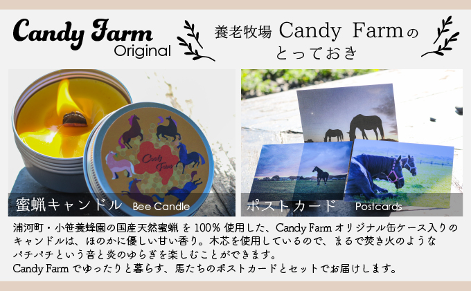 天然蜜蝋100%手作り「キャンドル」&馬たちの「ポストカード」セット[39-1122]|Candy Farm