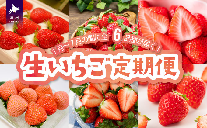 北海道浦河町のふるさと納税 【来年1月より発送!】全6品種が届く!生いちご定期便(全6回)[13-1130]