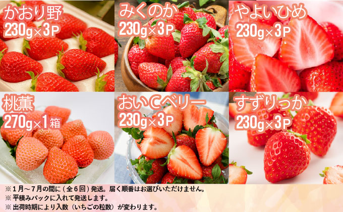 北海道浦河町のふるさと納税 【来年1月より発送!】全6品種が届く!生いちご定期便(全6回)[13-1130]