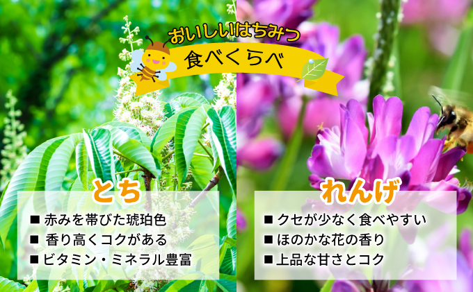 北海道浦河町のふるさと納税 国産純粋完熟はちみつ大瓶セット(れんげ・とち)580g×2本[16-832]