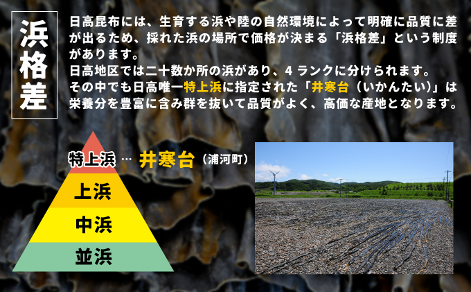 18％OFF 井寒台産 一等日高昆布 300g×1 と一等根昆布 200g×2 B34-1011 turbonetce.com.br