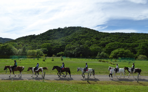 北海道浦河町のふるさと納税 乗馬招待券45分×2枚(初心者コース)[07-092]