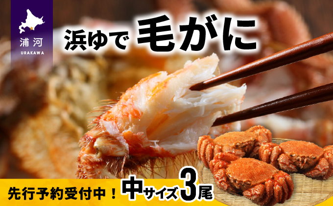 北海道浦河町のふるさと納税 【先行受付開始!】漁協の浜ゆで毛がに 中サイズ3尾セット※日付指定対応不可※[02-174]