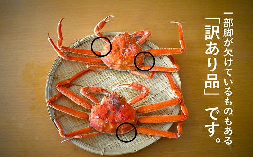 北海道浦河町のふるさと納税 訳あり 活オオズワイガニ約7kg(約28～30尾入)[02-1411]
