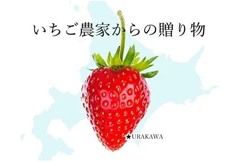 北海道浦河町のふるさと納税 果肉55%「夏いちごアイス(6個)」[22-325]