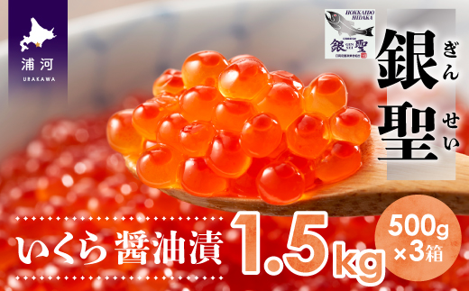 前浜産 ブランド銀毛鮭(天然)「銀聖」いくら醤油漬(500g×3箱)[02-562] / 北海道浦河町 | セゾンのふるさと納税