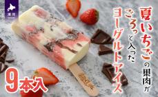 【8月頃より順次発送】夏いちごの果肉がごろっと入ったヨーグルトアイス80ml×9本[33-810]