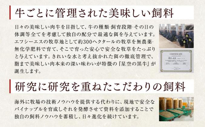 北海道標茶町のふるさと納税 <期間限定・牛肉100%ソーセージ付>北海道標茶町 星空の黒牛 くちどけフレーク 180g×2袋入 山わさび 80g