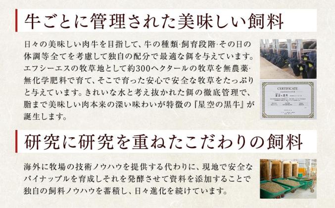 北海道標茶町のふるさと納税 牛肉 切り落とし 北海道産 星空の黒牛 約1kg(500g×2)ブランド牛