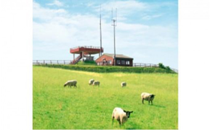 北海道標茶町のふるさと納税 【先行予約/2025年12月以降発送】北海道産しべちゃサフォーク(羊肉)生ラム　食べ比べセット300g(リブカタロース・カルビ・モモ各100g)