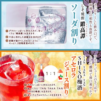 北海道白糠町のふるさと納税 鍛高譚(たんたかたん)・鍛高譚の梅酒[720ml]【4本セット】しそ焼酎 紫蘇焼酎 シソ焼酎 焼酎 梅酒 梅 果実酒 お酒 アルコール お湯割り 水割り ロック ストレート 本格焼酎 定番焼酎 晩酌