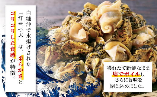 北海道白糠町のふるさと納税 白糠煮つぶ とれたてくん【500g×2個】