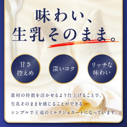 北海道白糠町のふるさと納税 プレミアムミルクジェラート【90ml×10個】