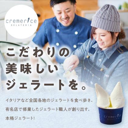 北海道白糠町のふるさと納税 プレミアムミルクジェラート【90ml×10個】
