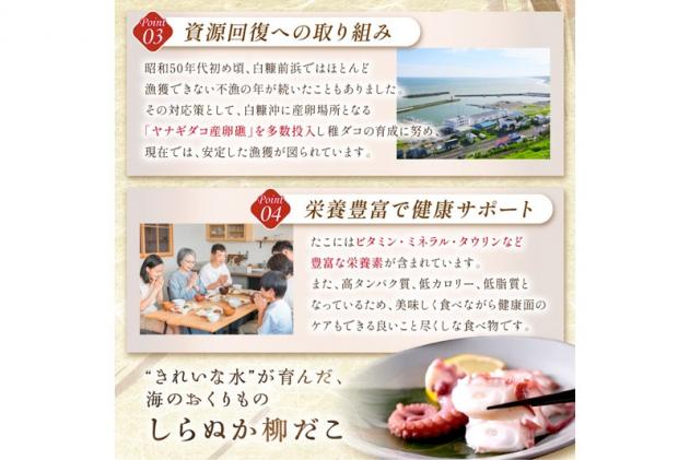 北海道白糠町のふるさと納税 しらぬか産柳だこ(600g)と珍味(まんまの三杯酢・まんまの塩辛)の計3種セット