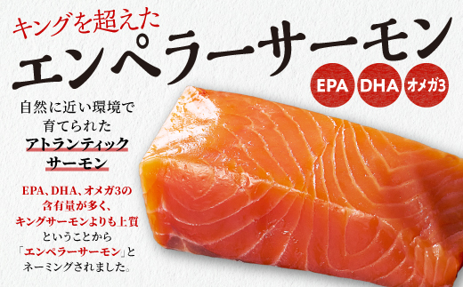 北海道白糠町のふるさと納税 エンペラーサーモン 900g サーモン 鮭 小分け エンペラー を超えた キングサーモン アトランティックサーモン さけ サケ 魚 ふるさと 海鮮 海鮮食品 魚介類 魚介 刺身 カルパッチョ ムニエル レア焼き 食べ方いろいろ 送料無料 人気 ランキング 北海道 白糠町