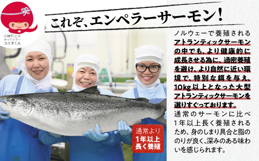 北海道白糠町のふるさと納税 エンペラーサーモン 900g サーモン 鮭 小分け エンペラー を超えた キングサーモン アトランティックサーモン さけ サケ 魚 ふるさと 海鮮 海鮮食品 魚介類 魚介 刺身 カルパッチョ ムニエル レア焼き 食べ方いろいろ 送料無料 人気 ランキング 北海道 白糠町
