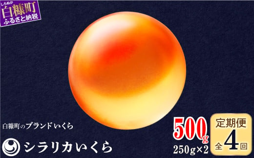 北海道白糠町のふるさと納税 年4回お届け定期便 シラリカいくら(生いくら)【500g(250g×2)】