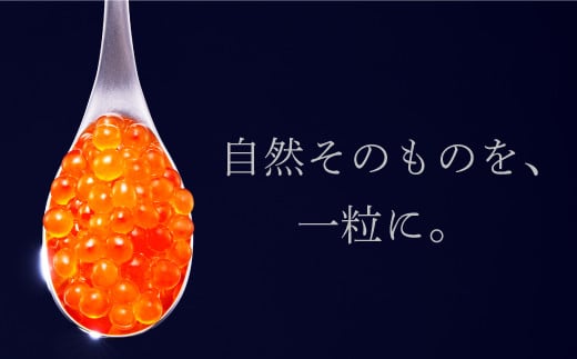 北海道白糠町のふるさと納税 年4回お届け定期便 シラリカいくら(生いくら)【500g(250g×2)】