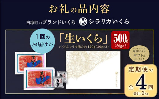 北海道白糠町のふるさと納税 年4回お届け定期便 シラリカいくら(生いくら)【500g(250g×2)】