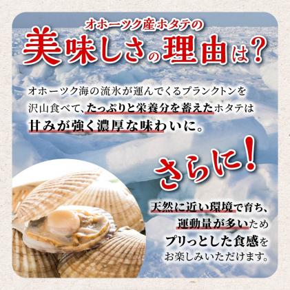 北海道白糠町のふるさと納税 【贈答用】オホーツク産お刺身用ホタテ大サイズ(3S)【1kg(250g×4パック)】