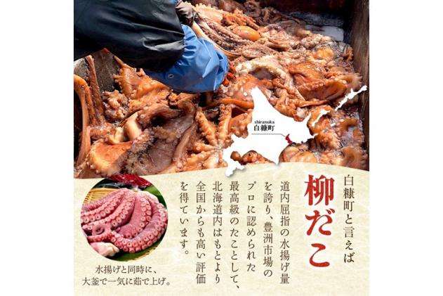 北海道白糠町のふるさと納税 しらぬか産刺身用柳だこ【600g×2個入り】