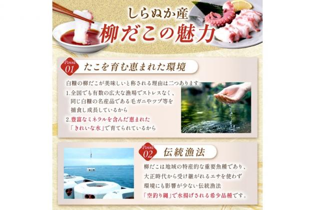 北海道白糠町のふるさと納税 しらぬか産刺身用柳だこ【600g×2個入り】