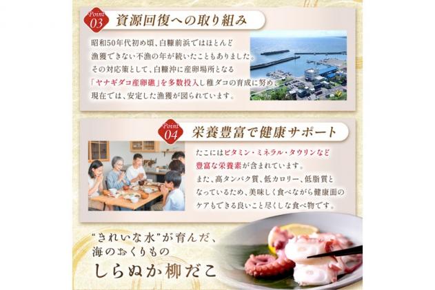 北海道白糠町のふるさと納税 しらぬか産刺身用柳だこ【600g×2個入り】