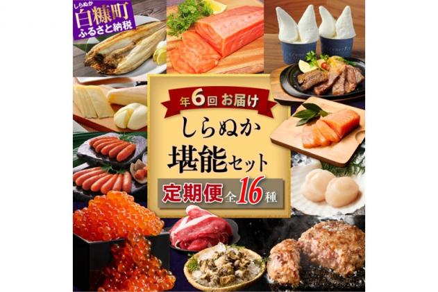 北海道白糠町のふるさと納税 しらぬか堪能セット'24-'25【年6回定期便】