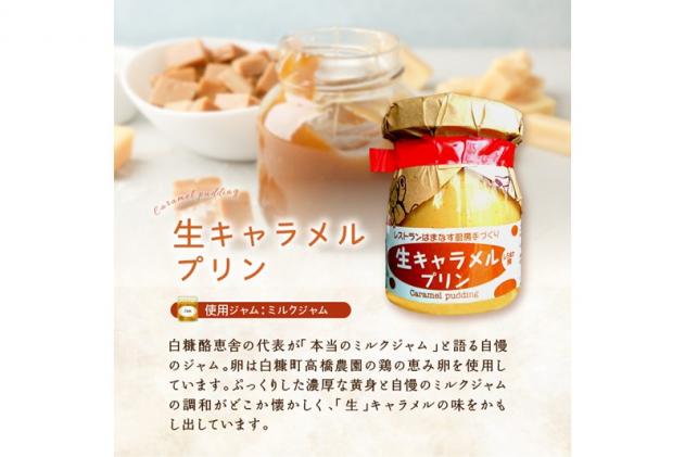 北海道白糠町のふるさと納税 シェフのこだわりプリンセット【3種類×2組】