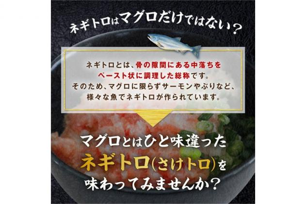 北海道白糠町のふるさと納税 ※60営業日以内にお届け※「さけトロ」【800g(40g×20)】