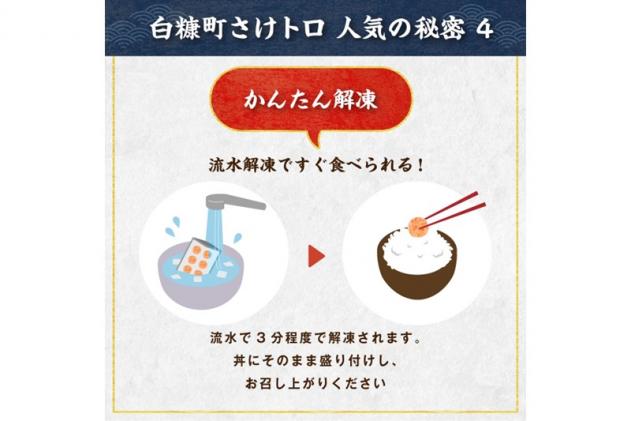 北海道白糠町のふるさと納税 ※60営業日以内にお届け※「さけトロ」【800g(40g×20)】