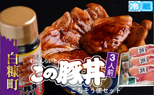 北海道白糠町のふるさと納税 ※冷蔵※この豚丼　ごちそう便セット【3人前】