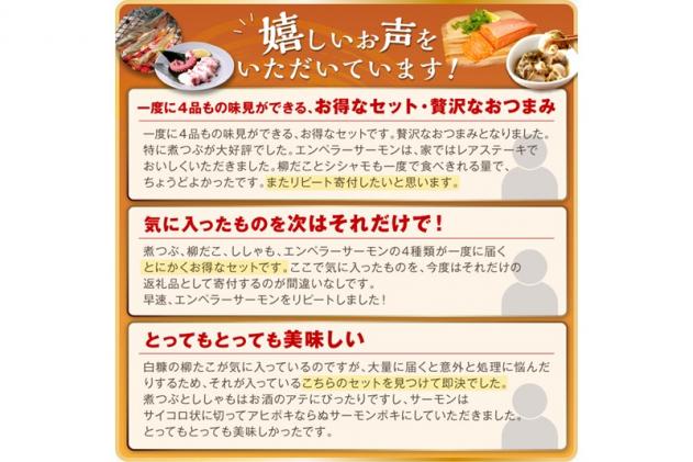 北海道白糠町のふるさと納税 栄三郎商店海産物セット