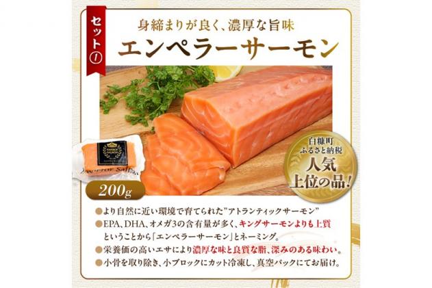 北海道白糠町のふるさと納税 栄三郎商店海産物セット