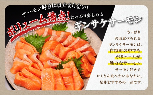 北海道白糠町のふるさと納税 ギンサケサーモン【1kg】 小分け 下処理不要 絶品の「塩締め」レシピ ふるさと納税 海鮮 サーモン 鮭 魚 銀鮭 刺身 生食用 さけ サケ ふるさと ランキング 人気 魚介類 魚介 北海道 白糠町