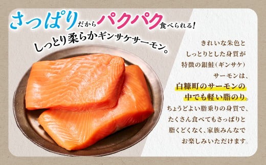 北海道白糠町のふるさと納税 ギンサケサーモン【1kg】 小分け 下処理不要 絶品の「塩締め」レシピ ふるさと納税 海鮮 サーモン 鮭 魚 銀鮭 刺身 生食用 さけ サケ ふるさと ランキング 人気 魚介類 魚介 北海道 白糠町