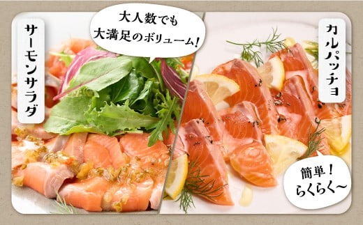 北海道白糠町のふるさと納税 ギンサケサーモン【1kg】 小分け 下処理不要 絶品の「塩締め」レシピ ふるさと納税 海鮮 サーモン 鮭 魚 銀鮭 刺身 生食用 さけ サケ ふるさと ランキング 人気 魚介類 魚介 北海道 白糠町
