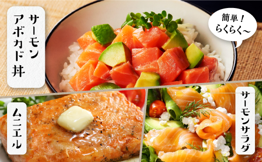 北海道白糠町のふるさと納税 アトランティックサーモン【800g】