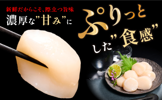 北海道白糠町のふるさと納税 オホーツク産お刺身用ホタテ大サイズ(3S)【750g(250g×3)】