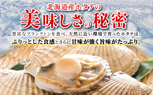 北海道白糠町のふるさと納税 オホーツク産お刺身用ホタテ大サイズ(3S)【750g(250g×3)】