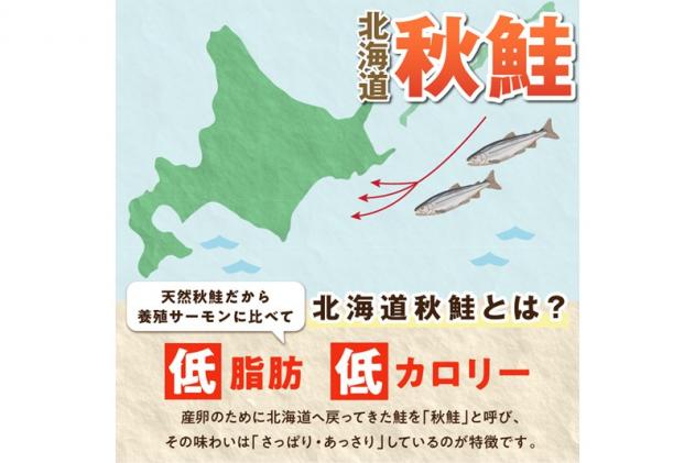 北海道白糠町のふるさと納税 鮭フレーク【1.5kg(500g×3)】