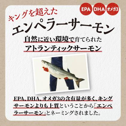 2024年4月末までにお届け※エンペラーサーモン【1.8kg】 / 北海道白糠町