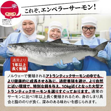 北海道白糠町のふるさと納税 ※2025年12月末までにお届け※エンペラーサーモン【1.8kg】