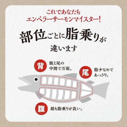 北海道白糠町のふるさと納税 ※2025年12月末までにお届け※エンペラーサーモン【1.8kg】