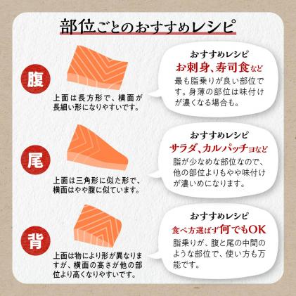 北海道白糠町のふるさと納税 ※2025年12月末までにお届け※エンペラーサーモン【1.8kg】