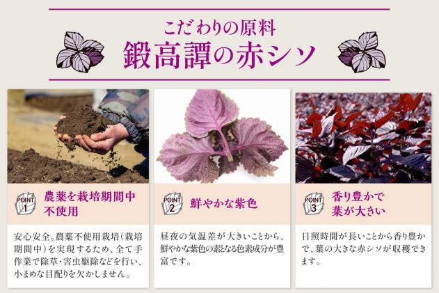 北海道白糠町のふるさと納税 鍛高譚(たんたかたん)[720ml]【4本セット】