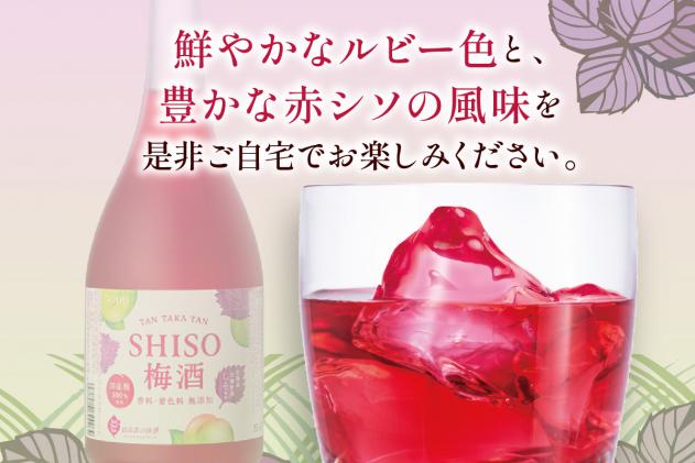 北海道白糠町のふるさと納税 鍛高譚(たんたかたん)の梅酒[720ml]【8本セット】